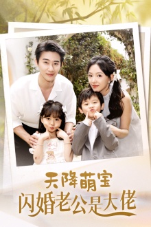 天降萌宝闪婚老公是大佬全集(大结局)