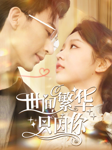 世间繁华只因你全集(大结局)